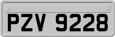 PZV9228