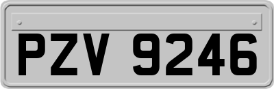 PZV9246