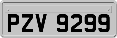 PZV9299