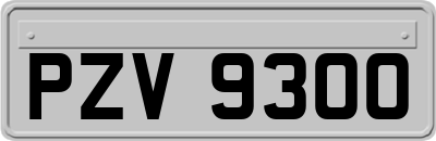 PZV9300