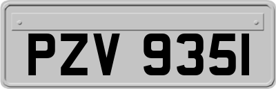 PZV9351