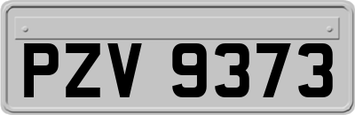 PZV9373