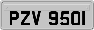 PZV9501