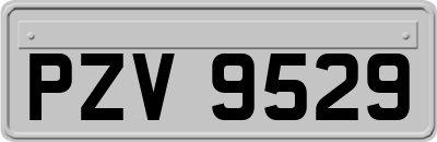 PZV9529