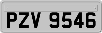 PZV9546