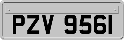 PZV9561