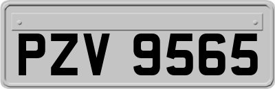 PZV9565