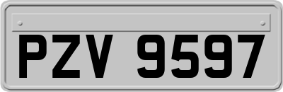 PZV9597