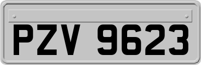 PZV9623