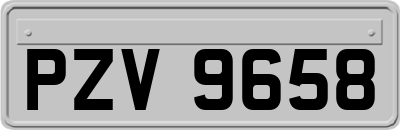 PZV9658