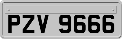 PZV9666