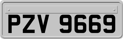 PZV9669