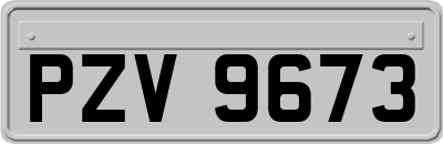 PZV9673