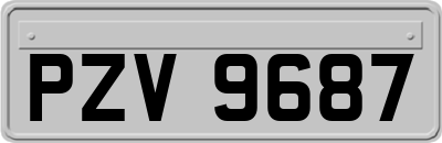 PZV9687