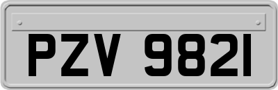 PZV9821