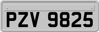 PZV9825