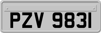 PZV9831