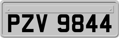 PZV9844