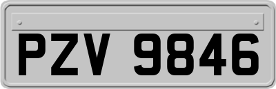 PZV9846