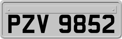 PZV9852