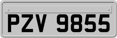 PZV9855