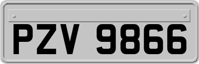 PZV9866