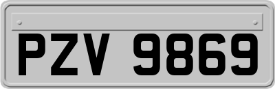 PZV9869