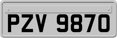 PZV9870