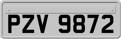 PZV9872