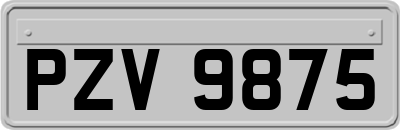 PZV9875