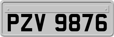 PZV9876