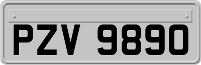 PZV9890