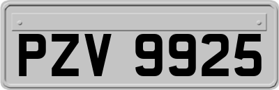 PZV9925