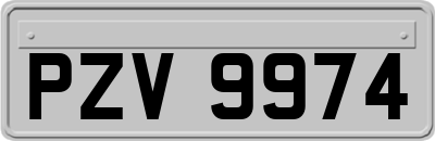 PZV9974