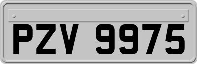 PZV9975