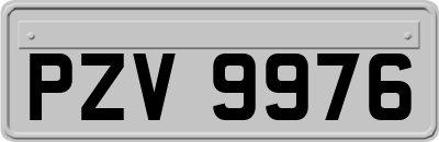 PZV9976