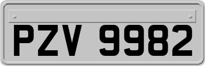 PZV9982