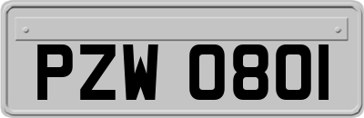 PZW0801