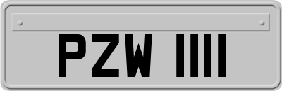 PZW1111