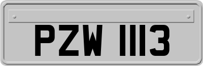 PZW1113