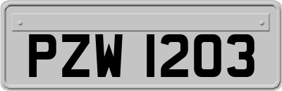 PZW1203