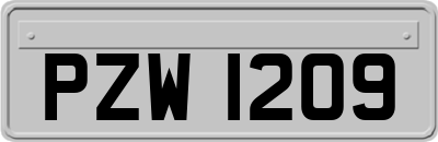 PZW1209