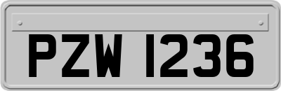 PZW1236