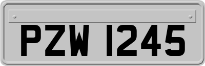 PZW1245