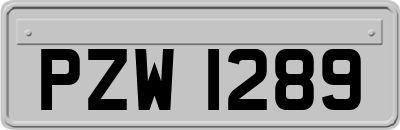 PZW1289