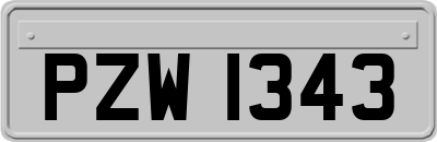 PZW1343