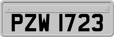 PZW1723