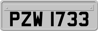 PZW1733