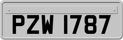 PZW1787