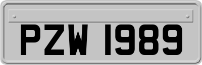 PZW1989